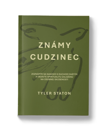 Známy cudzinec - Tyler Staton