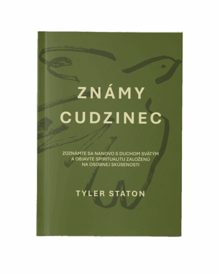 Známy cudzinec - Tyler Staton